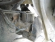 Alte piese frana Citroen C3