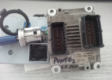 Calculator motor Fiat Punto