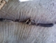 Caseta directie Alfa Romeo 156